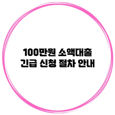 100만원 소액대출 긴급 신청 절차 안내