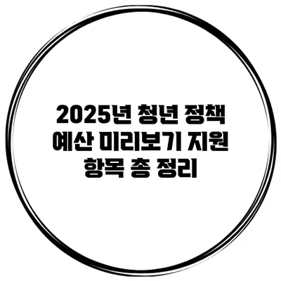 2025년 청년 정책 예산 미리보기 지원 항목 총 정리