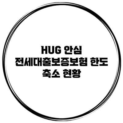 HUG 안심 전세대출보증보험 한도 축소 현황