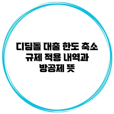 디딤돌 대출 한도 축소 규제 적용 내역과 방공제 뜻