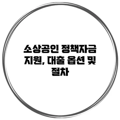 소상공인 정책자금 지원, 대출 옵션 및 절차