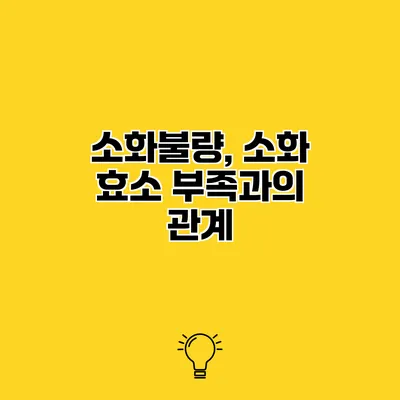 소화불량, 소화 효소 부족과의 관계