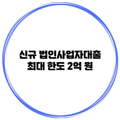 신규 법인사업자대출 최대 한도 2억 원