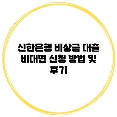 신한은행 비상금 대출 비대면 신청 방법 및 후기