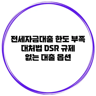 전세자금대출 한도 부족 대처법 DSR 규제 없는 대출 옵션