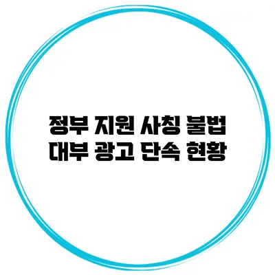 정부 지원 사칭 불법 대부 광고 단속 현황