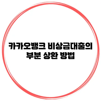 카카오뱅크 비상금대출의 부분 상환 방법