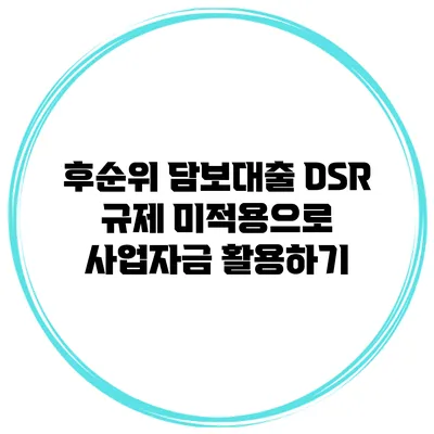 후순위 담보대출 DSR 규제 미적용으로 사업자금 활용하기