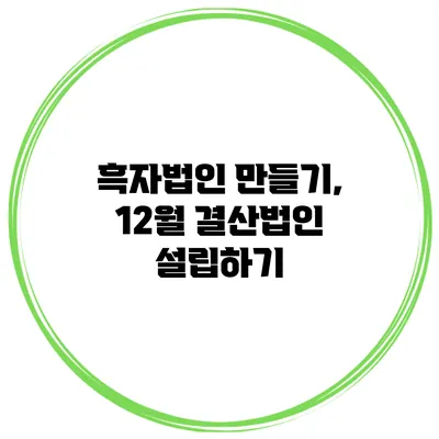 흑자법인 만들기, 12월 결산법인 설립하기