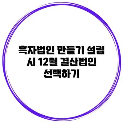 흑자법인 만들기 설립 시 12월 결산법인 선택하기